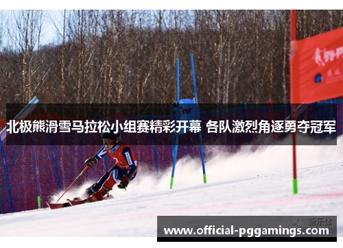北极熊滑雪马拉松小组赛精彩开幕 各队激烈角逐勇夺冠军