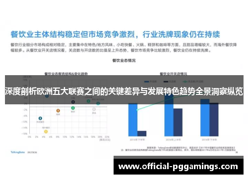 深度剖析欧洲五大联赛之间的关键差异与发展特色趋势全景洞察纵览