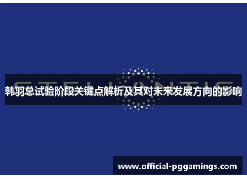 韩羽总试验阶段关键点解析及其对未来发展方向的影响