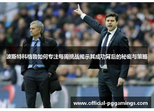 波斯特科格鲁如何专注每周挑战揭示其成功背后的秘密与策略